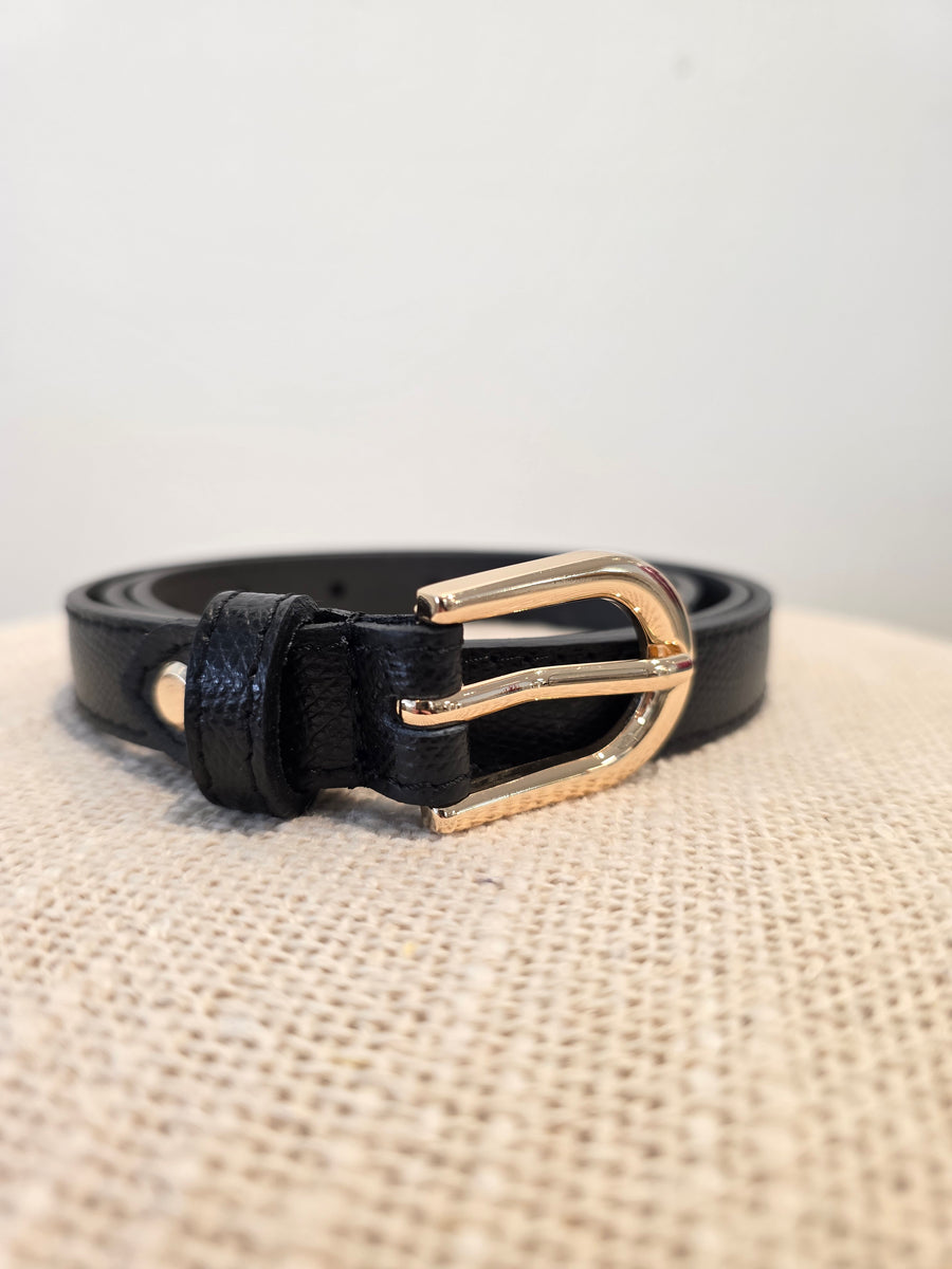 Albi belt